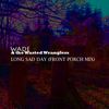 Long Sad Day (Front Porch Mix) - Wade&the Wasted Wranglers