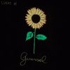 Girassol - Lucas Bê