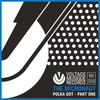 Maintain (Faray Remix) - The Micronaut