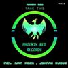Take This (Ivan Roca Remix) - Adrian Rey