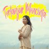 Terlanjur Mencinta - Farel Alfara