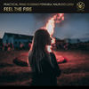 Feel The Fire (Extended Mix) - Practical Mind&Eugenio Ferrara&Maurizio Lessi