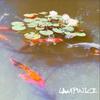 LAMPWICK - Novacaine
