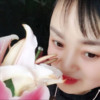 野花香 (cover: 菲儿) - 程红
