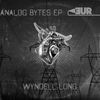 Do it while you can (Original Mix) - Wyndell Long