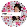 She Doesn't Like What She Sees (Original Mix) - DOTT&Flying Wonton