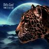 Time 2 Let Go (Ilya Garbuz Remix) - Old's Cool