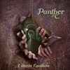 ...E continua ad essere... - Panther&C.