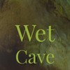 Wet Cave - Vicente Lucas