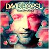 Work It Out(feat. Cecilia Stalin) - David Borsu&Cecilia Stalin