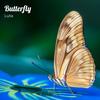 Butterfly - Luta