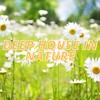 House Maniac (Freedom Mix) - Robert Sonn