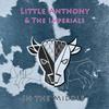 They Say It's Wonderful - Little Anthony&The Imperials