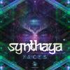 Faces - Synthaya