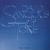 Ever the Same - David Sancious&Tone