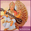 Mrig Trishna (Original Mix) - Mystical Guide&Yogsutra Relaxation Co