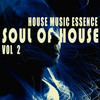 If You Want to Be Free (Freelove Mix) - Raul Perez