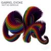 Not So Serious (Original Mix) - Gabriel Evoke