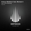 Last Ones Standing (Original Mix) - Antony Waldhorn&Michele C