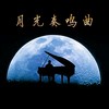 贝多芬：月光奏鸣曲 第一乐章(升C小调第十四号奏鸣曲) - 顾书心