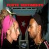 FORTE SENTIMENTO (feat. LISA RASTA) - King Raga&Lisa Rasta