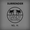 Surrender (Original Mix) - Nel M.