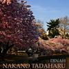 Dinah - Nakano Tadaharu