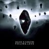 Feeling Love (Original Mix) - D.Anuchin&Gallous