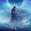 Crazy(feat. Casey Cook) - Wooli&Codeko&Casey Cook