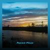 Steve Is The One - Diane Emond