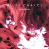 Blossom (Single Version) - Milky Chance