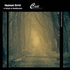 a forest of flashbacks - Human Error