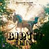 Birth (Original Mix) - Jo Ilina