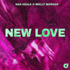 New Love - Dan Heale&Molly Morgan
