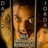 Wild, Wasted, & Wonderful - David Jordan