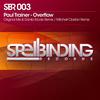 Overflow (Original Mix) - Paul Trainer