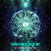 The Magicians (Original Mix) - Stereoxide&Nukleall&B.A.O.