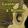 Ponto de Vista - Galante&Marinho