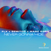 Never Gonna Hide (Radio Edit) - FLX&Semitoo&Marc Korn