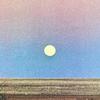 Moon Prairie - Shimo