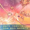 Digeridoodle - Dark Nebula