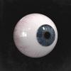 Optical Illusions - Marual&Marcos Ruiz
