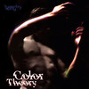 Heart Like a Doll - Color Theory