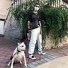 Hasta La Vista - Nick Prosper