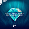 Diamonds (Acoustic Version) - Cornelius SA&Felix van Ginkel