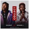 Collect - Kolaboy&Wonder J