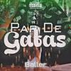 Par de Gatas (Explicit) - Baller