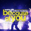 Because of You (Radio Mix) - Sasha Dith&Steve Modana