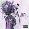 The Sky Is Falling - Aiden