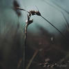 La mer la mer (Original Mix) - HOSH&Johannes Brecht